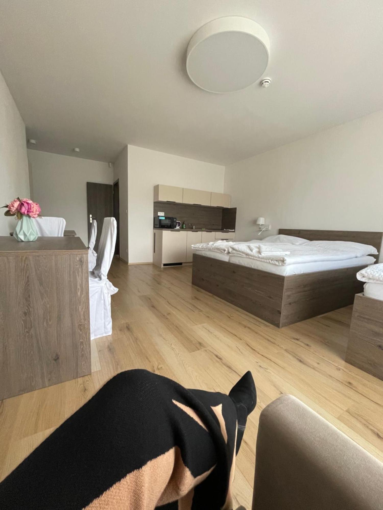 Zafir Hotel Dunajska Streda Ngoại thất bức ảnh
